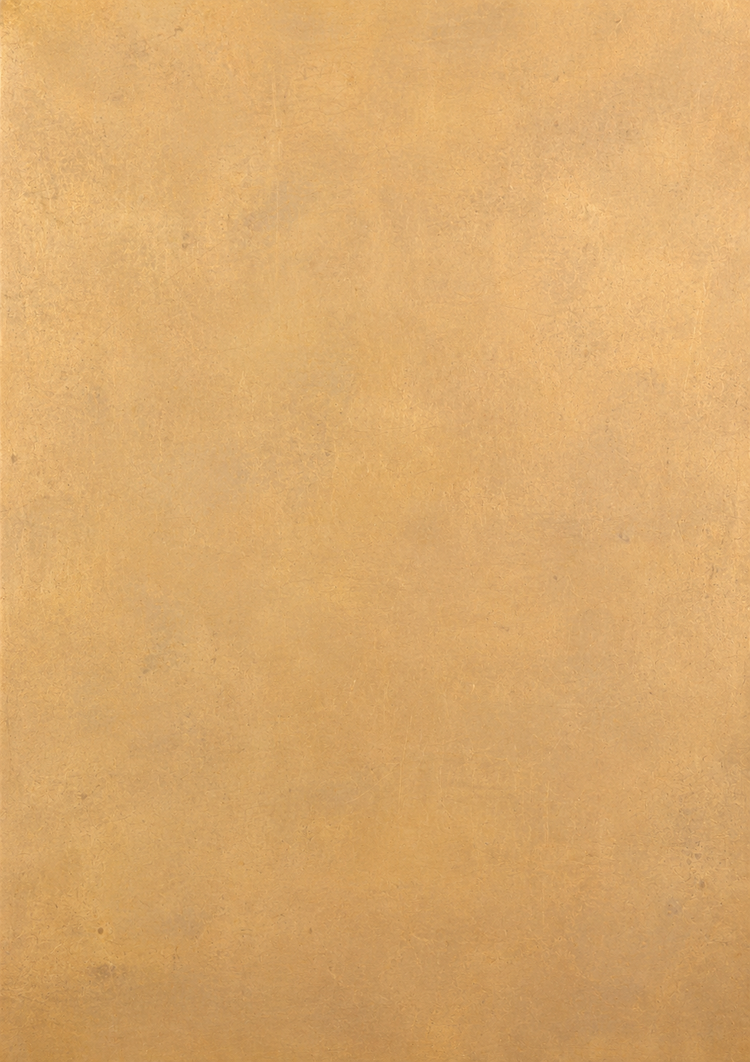 Untreated brass in its original state, showing the clean golden surface before natural patina develops through time and use.